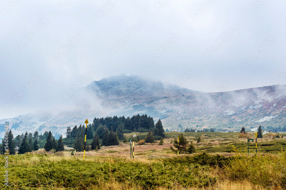 Mountain Landscape with Pine Trees and Cloudy Foggy Sky . Vitosha Mountain , Bulgaria 