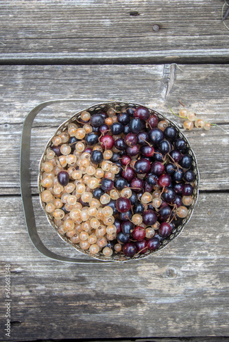 black and white currants in a metal vase.