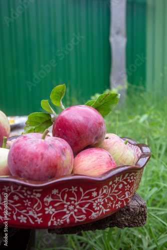 red apples in a ceramic mold.