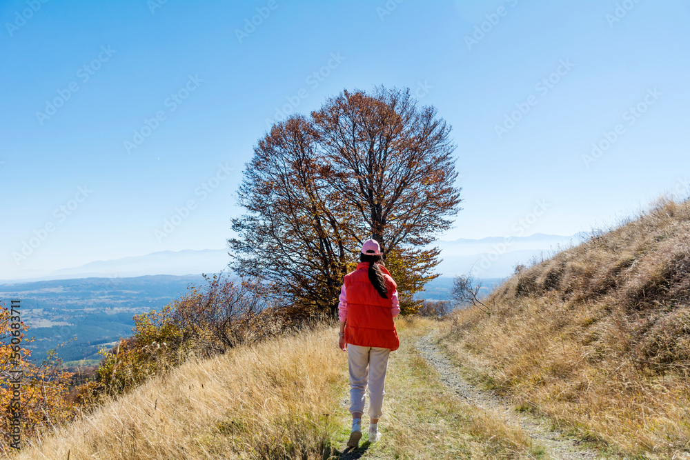 Woman Hiking  in the autumn  mountain . Vitosha mountain ,Bulgaria