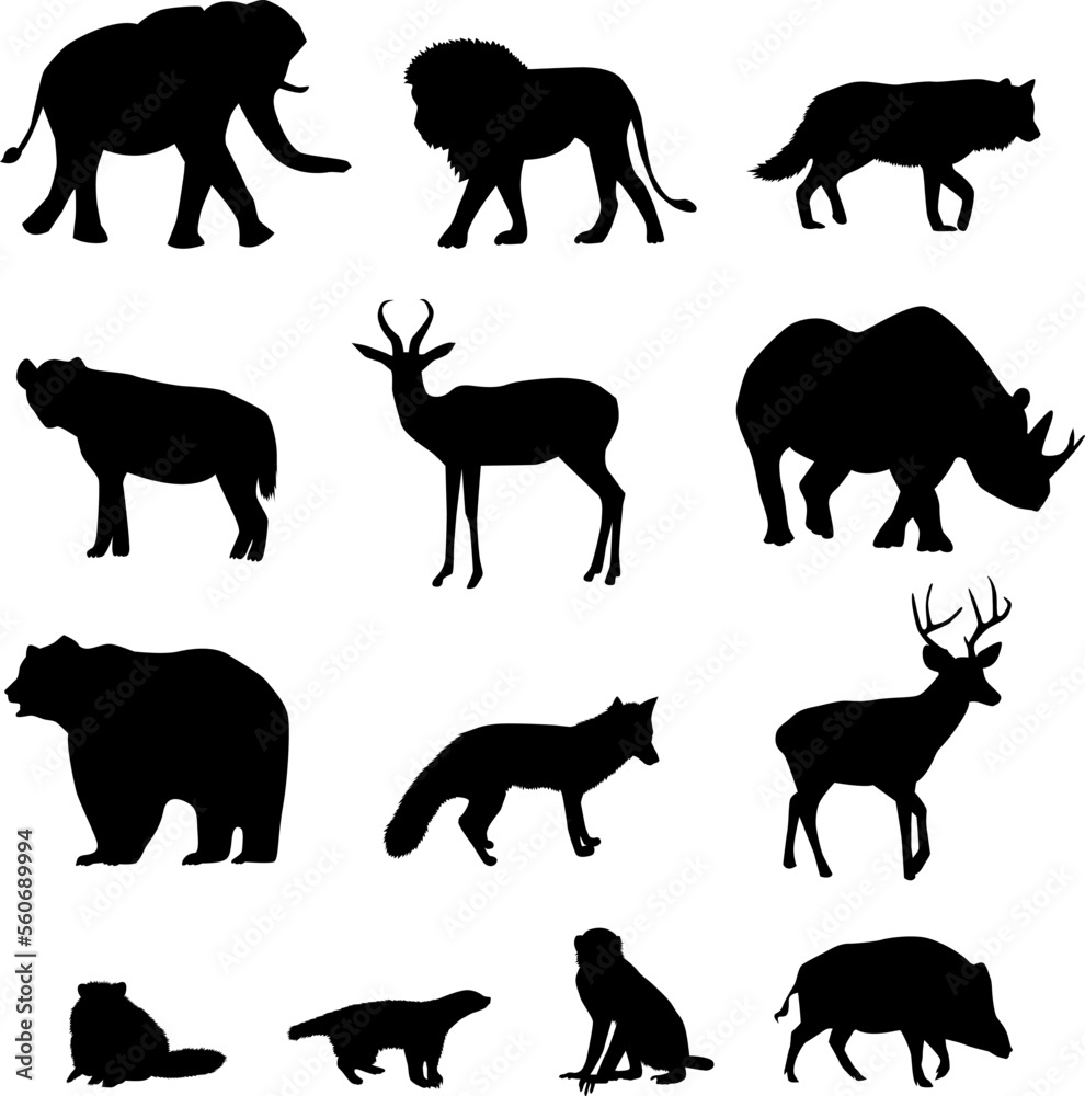 Silhouettes of forest animals on isolated white background. Vector illustration. 