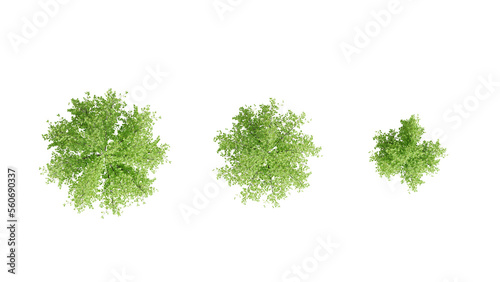 top down view set of 3 Pale Bush on white,  3d rendering of png transparent background, suitable for archiviz, architecture visualization gardening design