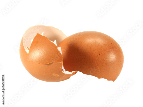 egg shells isolated on white background.