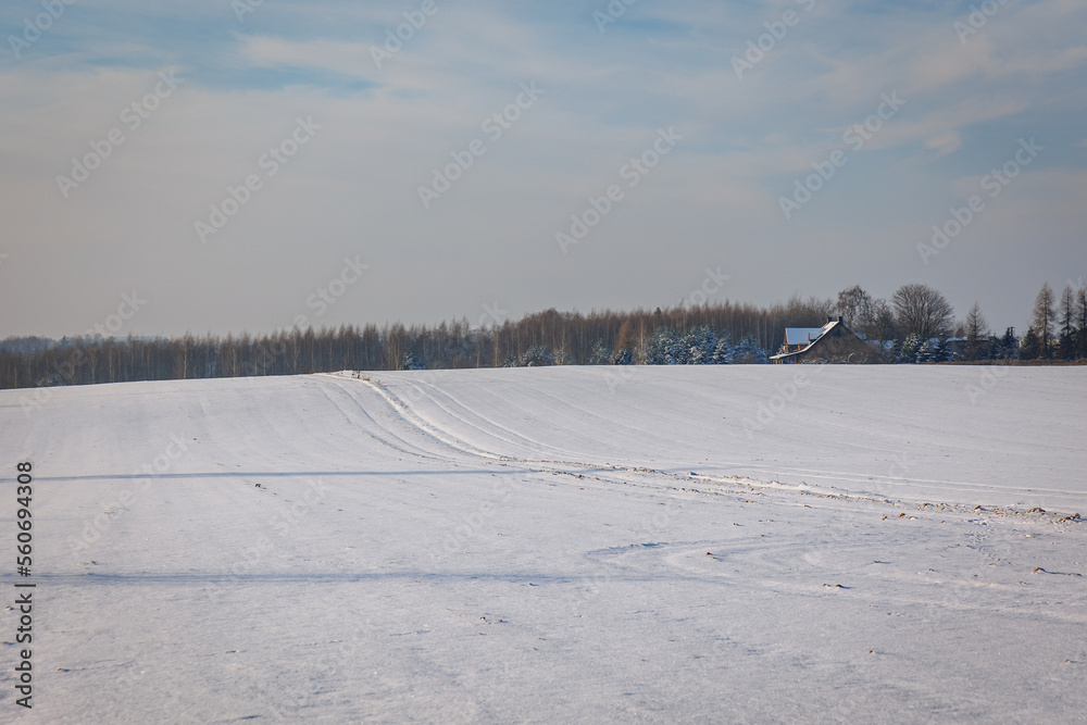 Winter fields covered with snow in Lodzkie Voivodeship of Poland Winter fields covered with snow in Lodzkie Voivodeship of Poland
