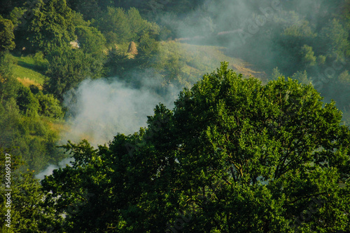 Summer landscape with smoke on the background of nature © vitalisman22