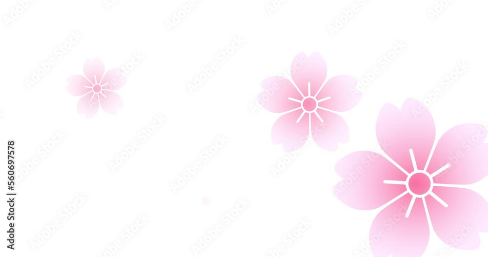 和風の桜が咲くシンプルループアニメーション 和風の桜が咲くシンプルループアニメーション