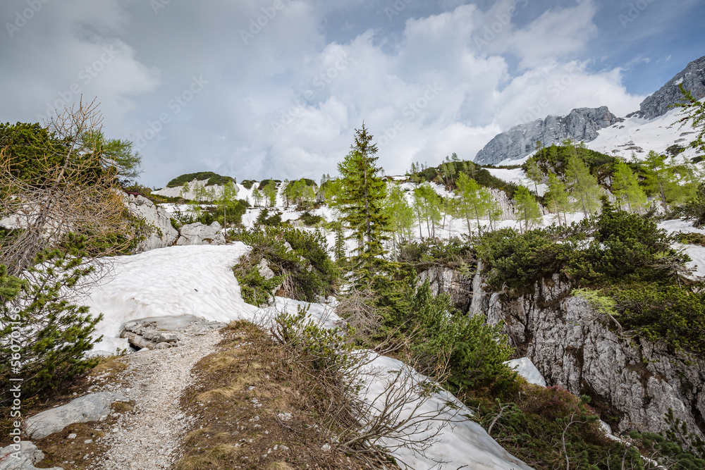 Beautiful winter snow mountain landscape. Sella Nevea, Julian Alps, Friuli-Venezia Giulia, Italy