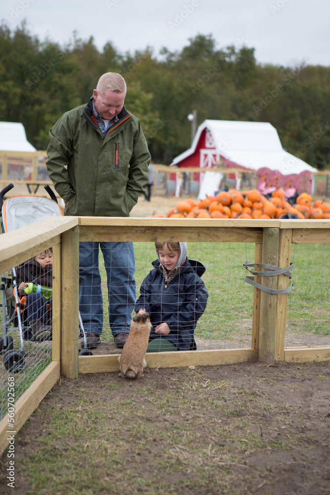 Family at pumpkin patch petting zoo Family at pumpkin patch petting zoo