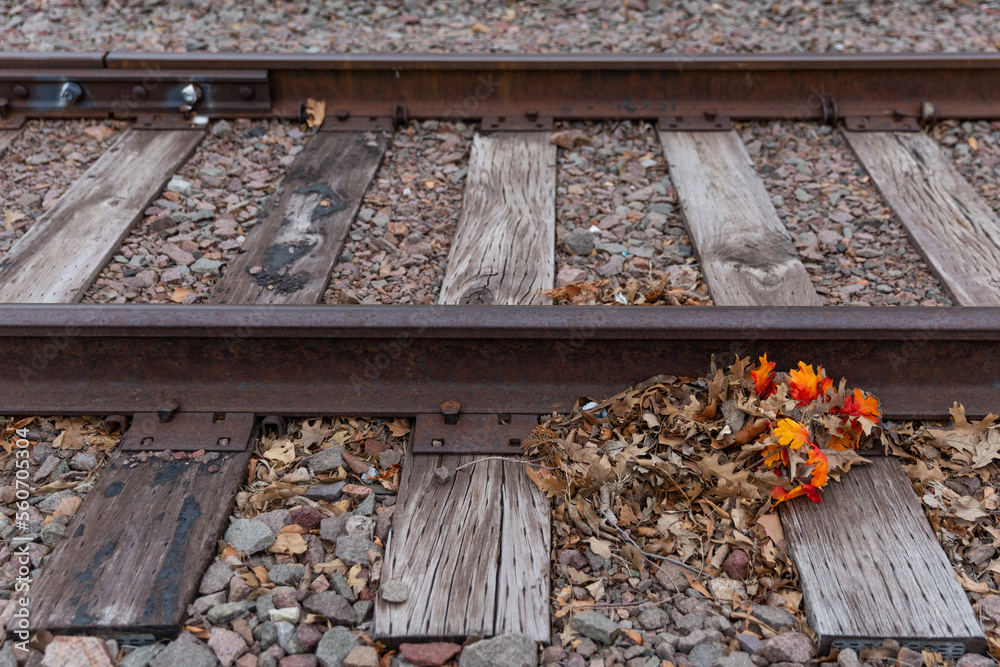 Bright orange leaves on railroad tracks Bright orange leaves on railroad tracks