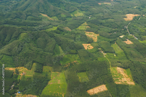 Wallpaper Mural Aerial view from the top view of the forest, mountain, meadow and abundant plantation fields on summer Torontodigital.ca