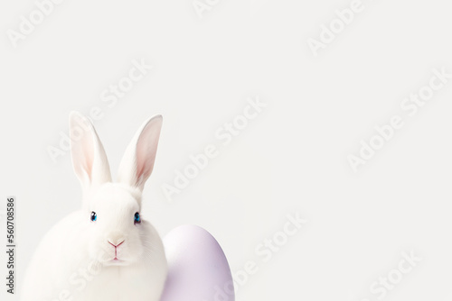 Cute snow white easter bunny on a white studio background. Ultra Realistic Digital Illustration. With space for text and designs. © Frametechnics