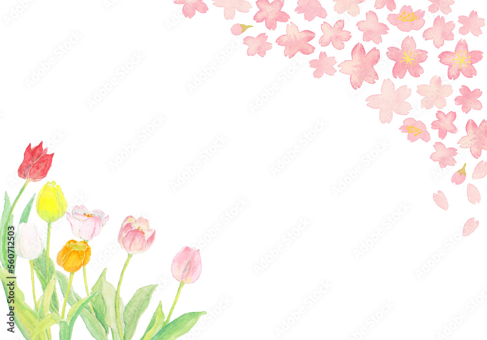 水彩の春の桜とチューリップの背景イラスト3