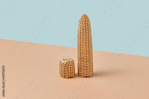 Gilded corn cobs on duotone background. photo