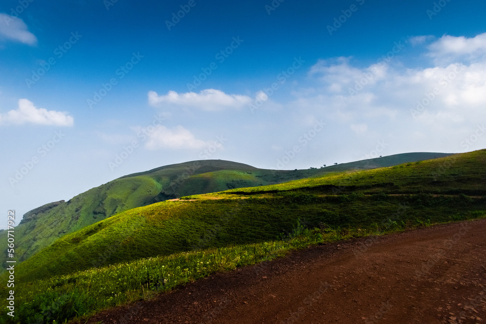 Stunning landscape view of green grass rolling hills, with forest road and fluffy clouds at Chikmagalur,Karnataka.