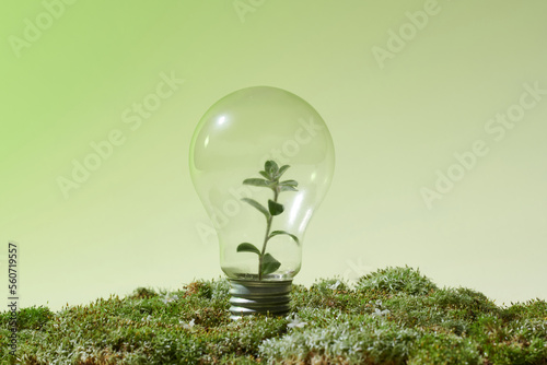 Light bulb with green plant as a concept of eco energy photo
