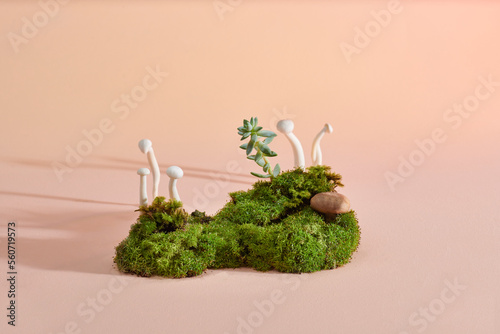 Stones, natural green moss and fern composition. photo