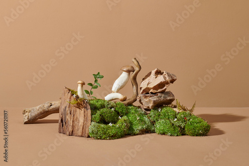 showcase display for natural eco products with dry bush branch photo