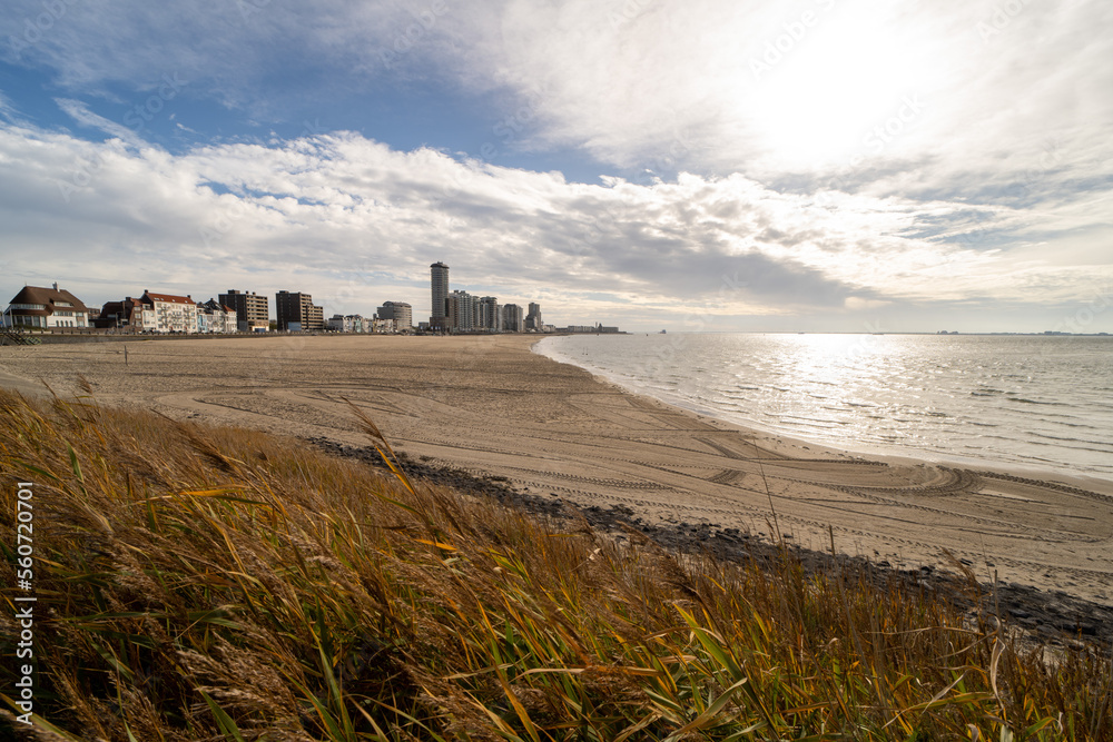 Beach with the skyline of Vlissingen, the Netherlands