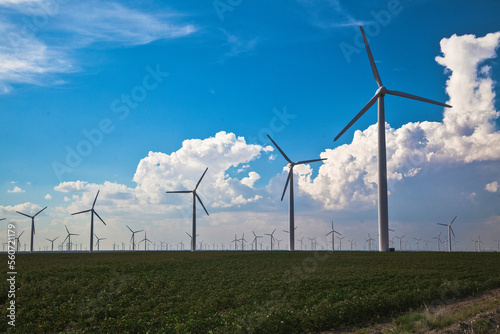 Wind turbines in field against sky, Abilene, Texas, USA photo