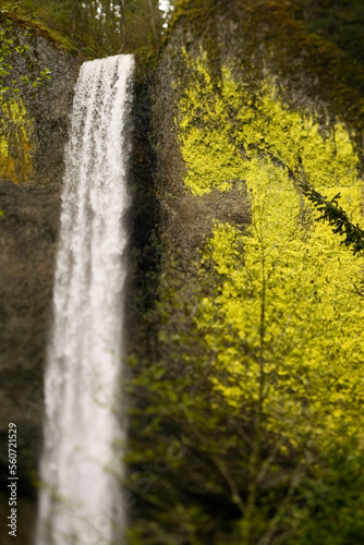 Waterfall cascading over bright green moss covered rock face, Hood River, Oregon. (Selective Focus).