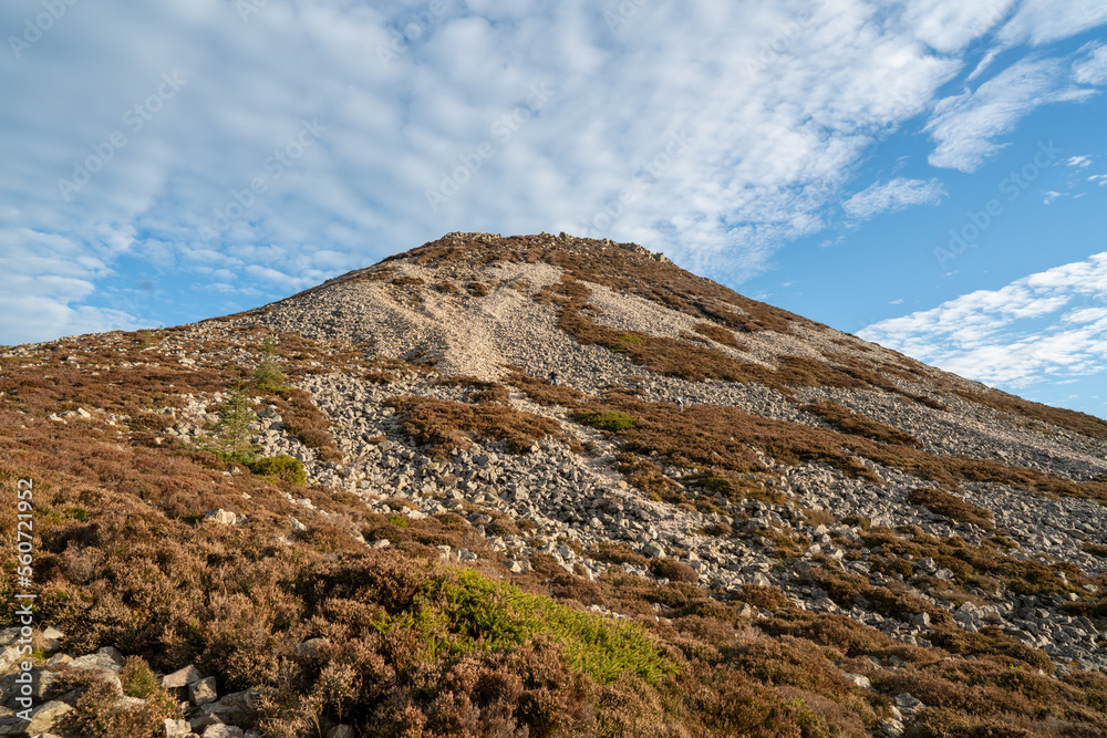 Fototapeta premium Great sugarloaf mountain and views in west wicklow, ireland.