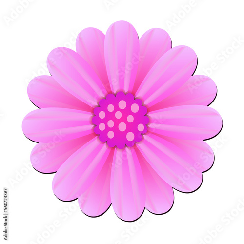 Pink flower petals on a blue background