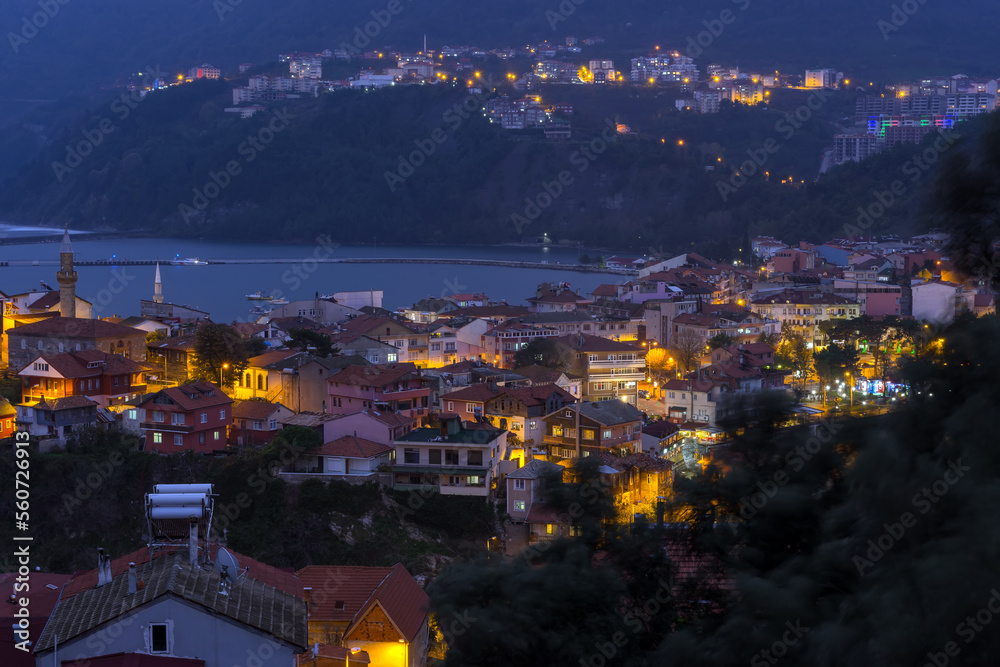 Obraz premium night view of the city