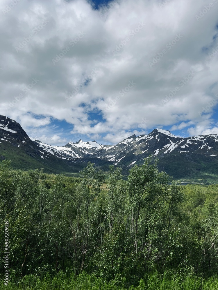 Obraz premium Beautiful green mountains, forest and hills, blue sky