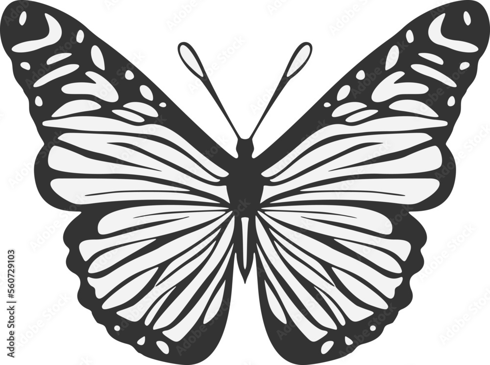 Design of butterfly draw Design of butterfly draw