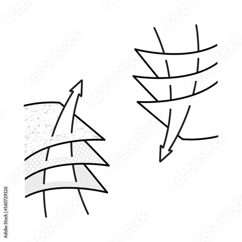 Multilayered material absorbents set