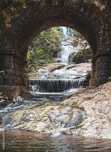 waterfall in the forest