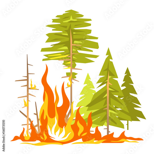 Burning forest spruce and pine in fire flames, nature disaster concept illustration, poster danger, careful with fires in the woods, isolated