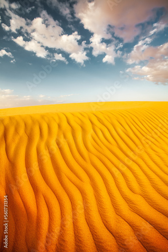 Dune de sable dans le désert.
