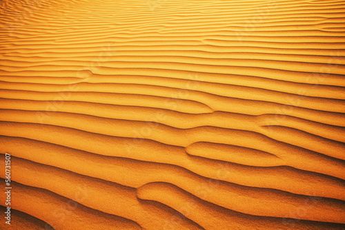 Ondulations dans le sable du désert.