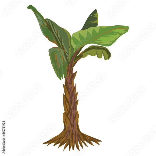 Ilustrasi pohon pisang