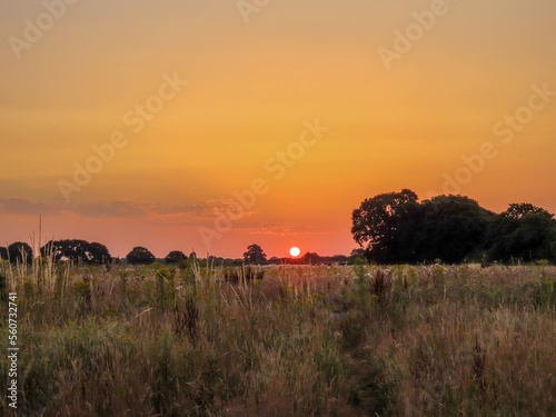 bright orange sunrise over countryside in the River Hamble Country Park Hampshire England