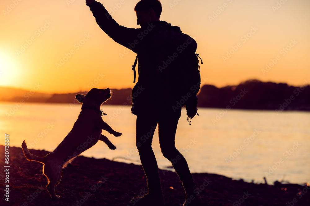 a woman with a dog on the riverbank enjoys the sunset