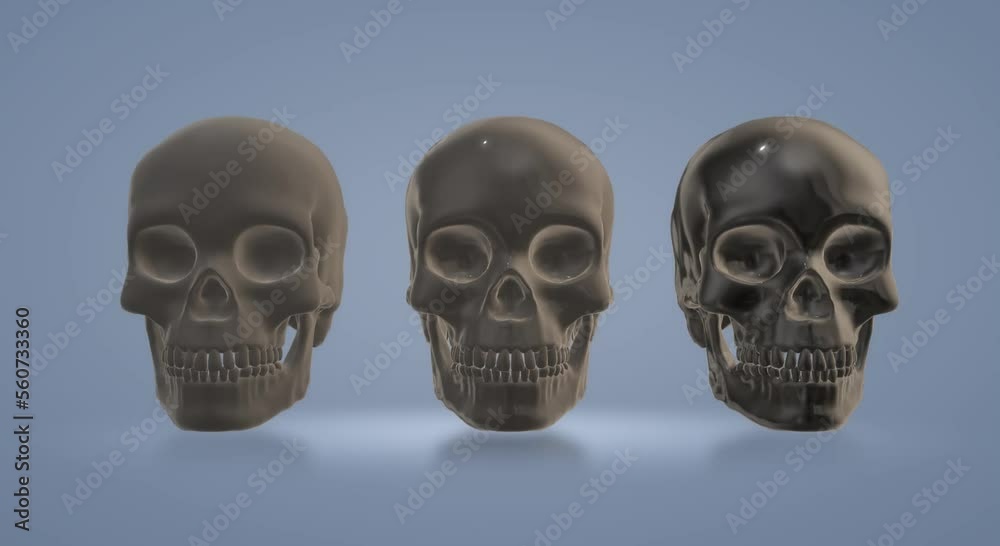 skull, skeleton skull, skeleton