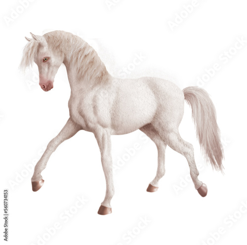 cheval    talon  animal  illustration  ferme  course  mammif  re  amoureux des chevaux  crin  poney  courir  chevalin  jument  nature  queue  beau  blanc 