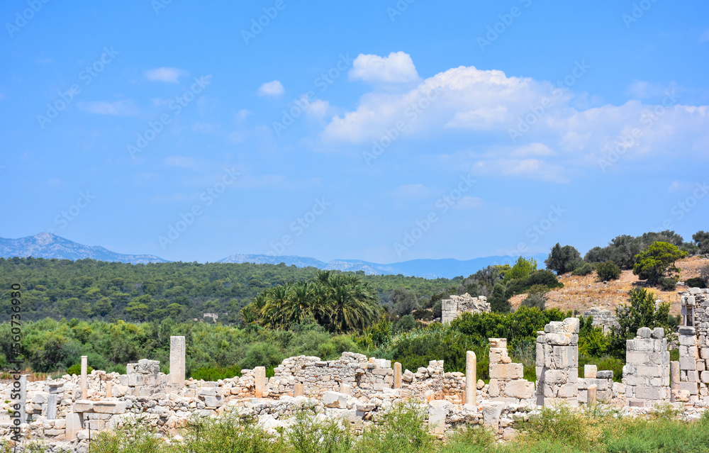 Patara Ruins, Lycia, Turkey. Patara, the capital of ancient Lydia, was a maritime and commercial city. Patara has beaches where the Mediterranean turtles Caretta-Caretta have laid their eggs.
