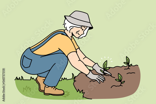 Smiling elderly woman plant seedlings in ground. Happy mature female gardener engaged in horticulture outdoors. Gardening and hobby. Vector illustration. 