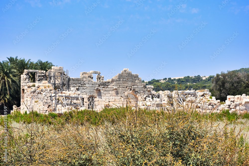 Patara Ruins, Lycia, Turkey. Patara, the capital of ancient Lydia, was a maritime and commercial city. Patara has beaches where the Mediterranean turtles Caretta-Caretta have laid their eggs.