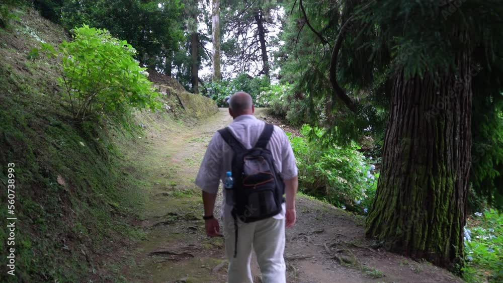 An elderly man travels through the tropical jungle with a backpack. A male tourist with a backpack walks along a forest path. An elderly man travels through the tropical jungle with a backpack. A male tourist with a backpack walks along a forest path.