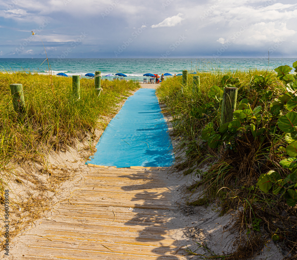 Fototapeta premium Pathway To The Beach at Atlantic Dunes Park, Delray Beach, Florida, USa