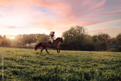female horsewoman jockey rides her thoroughbred on wide meadow in sunset light