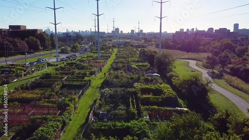 Community garden allotment in large urban city with bike paths and electrical energy poles photo