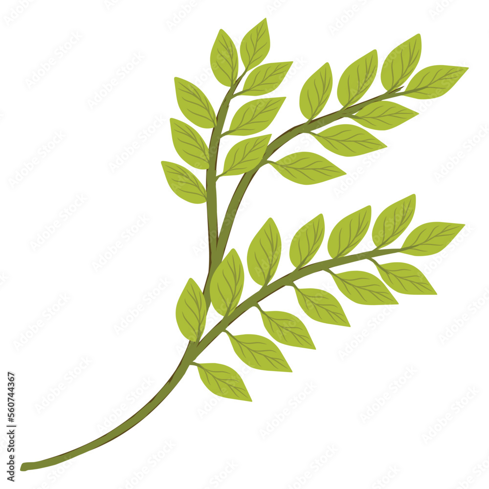 Fototapeta premium Illustration of a leaf