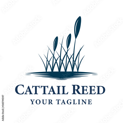 Cattail Reed River Logo Design Vector Water Creek Lake Swamp Logo Design simple Vector.