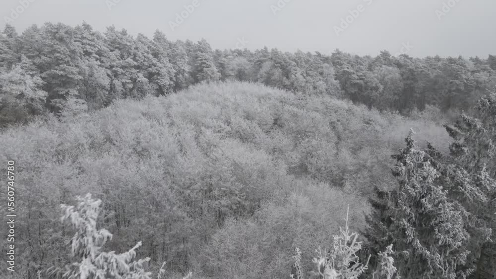 Winter in Poland, Szczecin. Forest recorded from a drone in winter. Beautiful white frosted trees. Winter in Poland, Szczecin. Forest recorded from a drone in winter. Beautiful white frosted trees.
