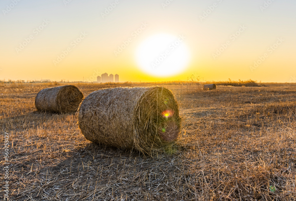 A haystack in a meadow that had been mowed in the evening